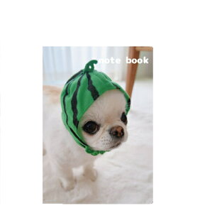 �y�\��̔��z �`������UNI��EBI �� A5�m�[�g�� No003NN