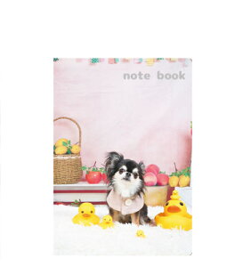 y\̔z `UNIEBI  A5m[g No006NN