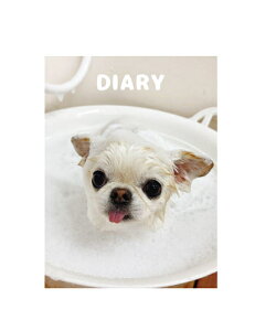 y\̔z `UNIEBI  L DR003NN