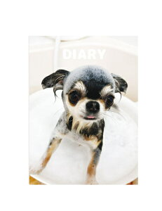 y\̔z `UNIEBI  L DR004NN