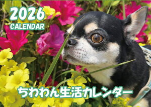 y\̔z 񐶊 `  2026N Ǌ|J_[ KA26140