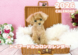 y\̔z gCv[h̃R  2026N Ǌ|J_[ KA26147