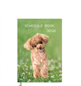 y\̔z gCv[h̃R  2026N A5XPW[ A526149