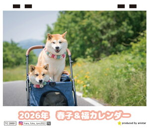 y\̔z Č̏tq 2026N J_[ TC26154