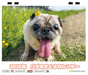 y\̔z pÔ  2026N J_[ TC26160