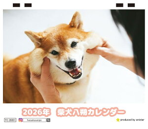 y\̔z Č 2026N J_[ TC26163