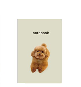 y\̔z  gCv[h  A5m[g No008NN