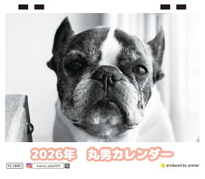 y\̔z  ےj t`uhbO  2026N J_[ TC26177