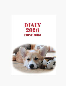 y\̔z ߂ẴR[M[  L DR006NN