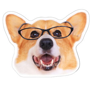 y\̔z ߂ẴR[M[  XebJ[ 3Zbg SU012NN