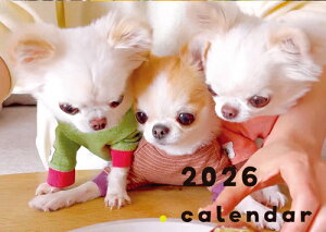 y\̔z 񁕂䂿񁕂邱 `  2026N Ǌ|J_[ KA26188