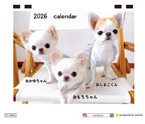 y\̔z 񁕂䂿񁕂邱 `  2026N J_[ TC26189