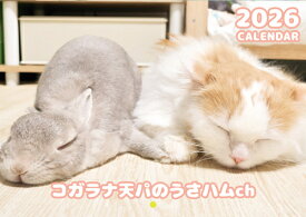 【予約販売】 うさぎのコガラナ天パのうさハムch 2026年 壁掛けカレンダー KA26190