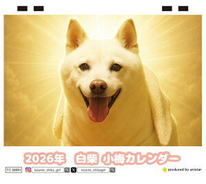 y\̔z  ~  2026N J_[ TC26197