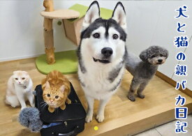 【予約販売】 犬と猫の親バカ日記 2026年 壁掛けカレンダー KA26207