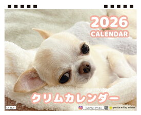 【予約販売】 チワワのクリム 犬 2026年 卓上カレンダー TA26226