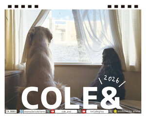 y\̔z S[fgo[̂[N 2026N J_[ TA26233