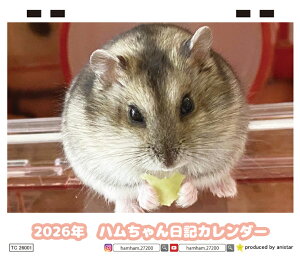 y\̔z nL nX^[ 2026N J_[ TC26237