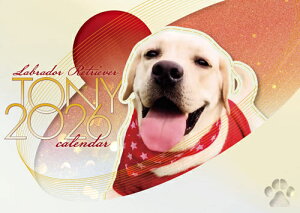 y\̔z TONY uh[go[  2026N Ǌ|J_[ KK26239