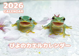 【予約販売】 ぴよのカエル 2026年 壁掛け カレンダー KK26024