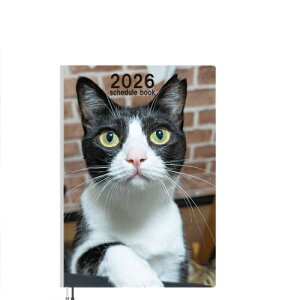 y\̔z یLCJƃniL 2026N A5XPW[ A526248