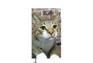 y\̔z یLCJƃniL 2026N |PbgXPW[ PO26249