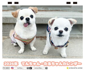 y\̔z Ă񂿂E邿  2026N J_[ TC26257