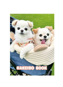 y\̔z Ă񂿂E邿  ƌv CA006NN