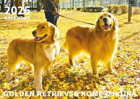 【予約販売】 コメ&イクラ ゴールデンレトリバー 犬 2026年 壁掛け カレンダー KK26285
