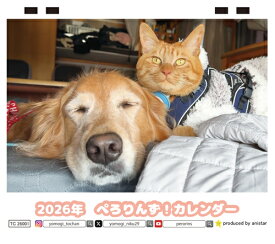 【予約販売】 ぺろりんず！ ゴールデンレトリバー 犬＆保護猫 2026年 卓上 カレンダー TC26291