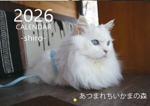 【予約販売】 あつまれちいかまの森 猫 2026年 壁掛け カレンダー KK26292