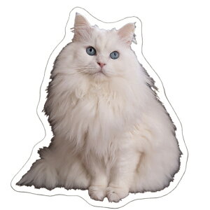 【予約販売】 あつまれちいかまの森 猫 シール 5枚セット SE020NN