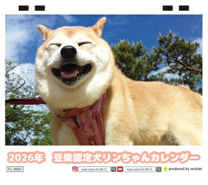 y\̔z ĔF茢 2026N  J_[ TC26295