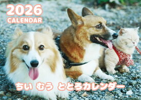 【予約販売】 ちい むう ととろ コーギー 猫 2026年 壁掛け カレンダー KA26030