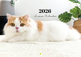 【予約販売】 レモン 猫 猫のレモンと犬のポテチちゃんねる 2026年 壁掛け カレンダー KA26306