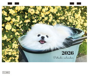 y\̔z |e`  L̃ƌ̃|e`˂ 2026N  J_[ TC26307