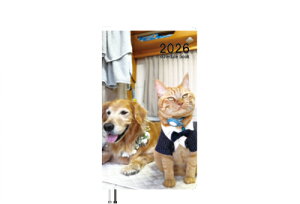 y\̔z ؂񂸁I S[fgo[ یL 2026N |PbgXPW[ PO26312