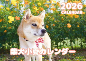 y\̔z Č  2026N Ǌ| J_[ KA26317