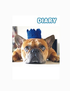 �y�\��̔��z �t�����`�u���h�b�O torus �g�[���X �� ���L�� DR001NN