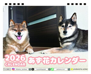 y\̔z Č̂ 2026N  J_[ TA26070