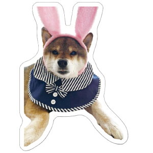 y\̔z Č̂ 2026N 3Zbg XebJ[ SU004NN