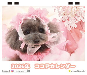 y\̔z RRA gCv[h  2026N  J_[ TC26077