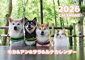 y\̔z Č JAT 2026N Ǌ|J_[ KA26082