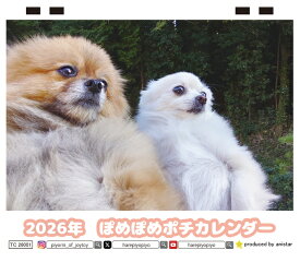 【予約販売】 ポメポメぽち ポメラニアン 犬 2026年 卓上 カレンダー TC26086