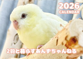 【予約販売】 2羽と暮らすあんずちゃんねる インコ 2026年 壁掛け カレンダー KA26341