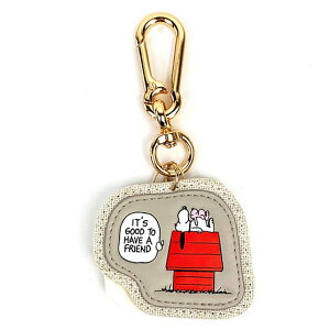 Xk[s[ R~bN`[ iGY) SNOPPY ARf ACCOMMODE 