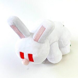 }CNtg RNVʂ ETM zCg }XRbg CeA }CN 