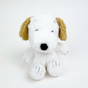 Xk[s[ tY r[h[ AfB ʂ l` }XRbg CeA