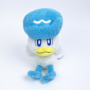 |PbgX^[ |P NbX Ղ ʂ CeA u[