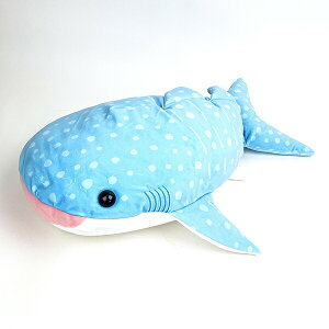 CU ӂ XL WxGU ʂ CeA u[